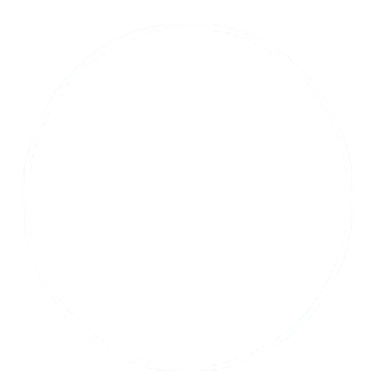 Custom Software Development